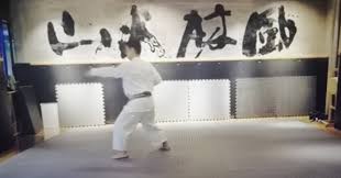 Image result for Redhill Karate Association
