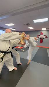 Image result for Dacula Martial Arts Academy