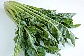 Image result for Zichorie