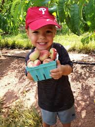 Image result for donut peach