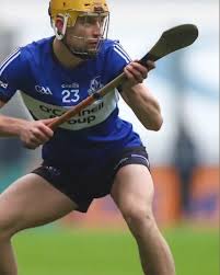 Image result for Sarsfields Hurling Club
