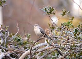 Image result for 20070322