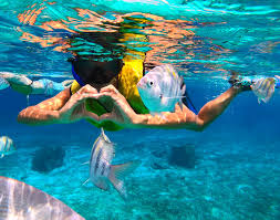 Image result for Wyndley NSC Snorkelling Club