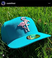 Image result for Flamingo Cricket Club