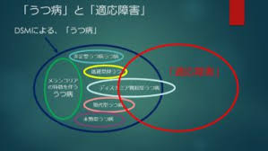 Image result for うつ病 亜型分類