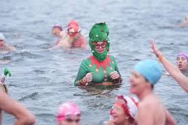 Image result for Serpentine Swimming Club
