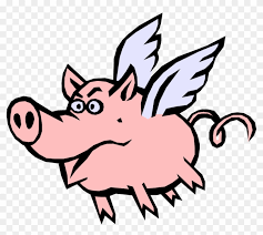 Image result for flying pigs