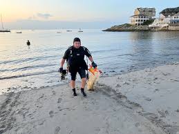 Image result for Southdown Divers