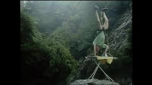 Image result for extreme ironing