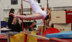 Image result for Wickers Gymnastics Club