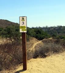 Image result for Bongos Disc Golf Club