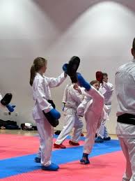 Image result for Stockport Shotokan Karate Club