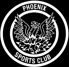 Image result for Woking Phoenix Football Club