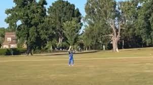 Image result for Buxted Park Cricket Club