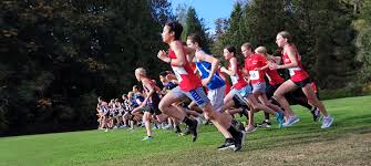 Image result for Westerlands Cross Country Club