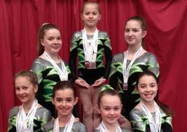 Image result for Aylesbury Gymnastics Club