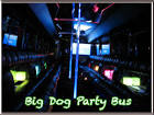 Top Party Bus Big Dog Limo Bus San Diego | Old Dog Party Buses ...