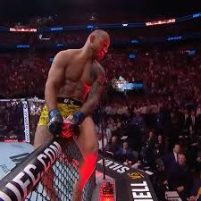 Image result for Silva L1 MidNite