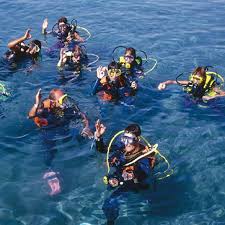 Image result for Jersey Sub Aqua Club