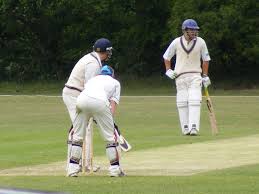 Image result for Hoddesdon Cricket Club