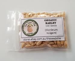 Attēlu rezultāti vaicājumam “Hordeum vulgare fruit”