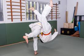 Image result for Melbourne Judo Club