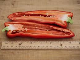 Afbeeldingsresultaat voor aconcagua sweet pepper