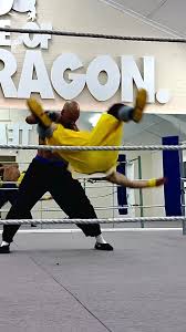 Image result for Southgate T`ai Tsung Chinese Boxing
