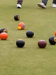 Image result for Topsham Bowling Club