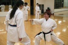 Image result for Ifield Shotokan Karate Club