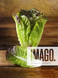 Image result for Römischer Salat