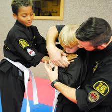 Image result for Cobra Karate Club
