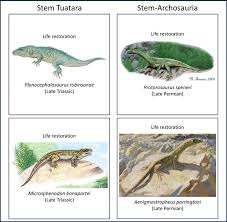 Attēlu rezultāti vaicājumam “Sauria”