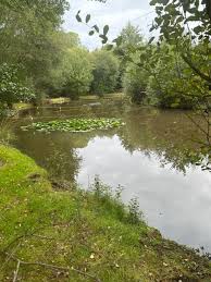 Image result for Guildford Angling Society