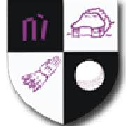 Image result for Chulmleigh & Mid Devon Cricket Club