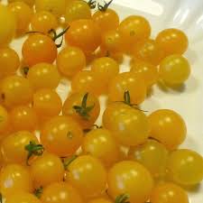 Afbeeldingsresultaat voor broad ripple yellow currant tomato