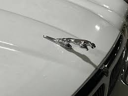 Image result for Topaz 1999 Jaguar