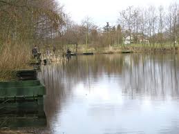 Image result for Bay Malton Angling Club