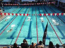 Image result for Hastings Seagulls Swimming Club