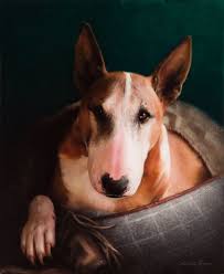 Image result for Bollington & Royal Oak Angling Society