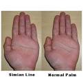 The Simian Line