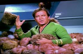 Image result for captain kirk