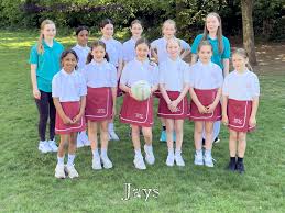Image result for Camelot Netball Club