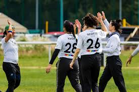 Image result for Braishfield Ultimate