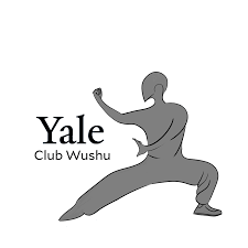 Image result for Wushu Tai Chi Club