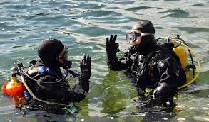 Image result for Harlow Sub-Aqua Club