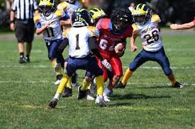 Image result for Nutfield Youth