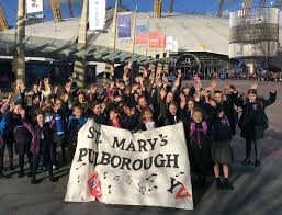 Image result for pulborough netball club