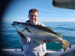 Image result for Newhaven Deep Sea Anglers