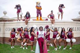 Image result for Cheam Girls Gc